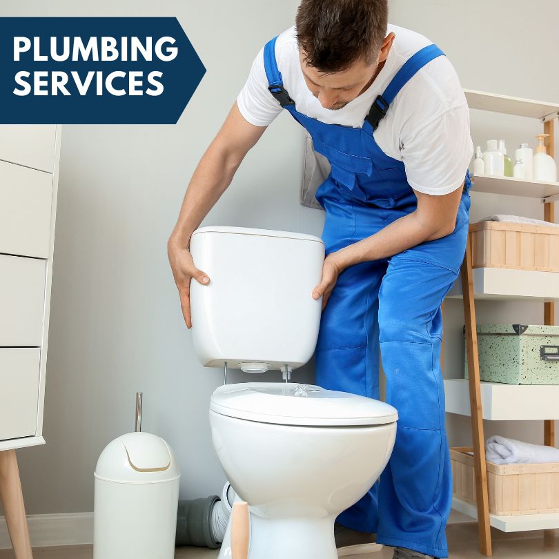 Plumbing Company in Weidman, MI